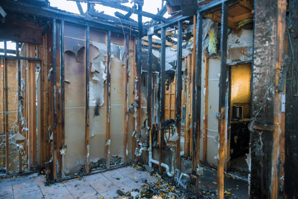 Professional Fire Damage Removal technician working in Underwood, IA